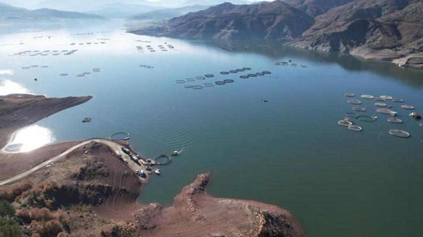 Tokat'tan Sinop'a, oradan da Avrupa ve Uzak Doğu'ya satıyorlar! Üreticinin kazancı kat kat arttı