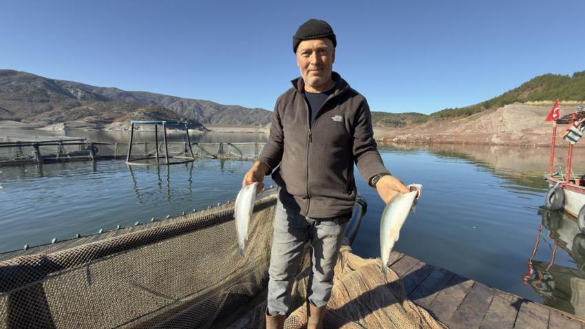 Tokat'tan Sinop'a, oradan da Avrupa ve Uzak Doğu'ya satıyorlar! Üreticinin kazancı kat kat arttı