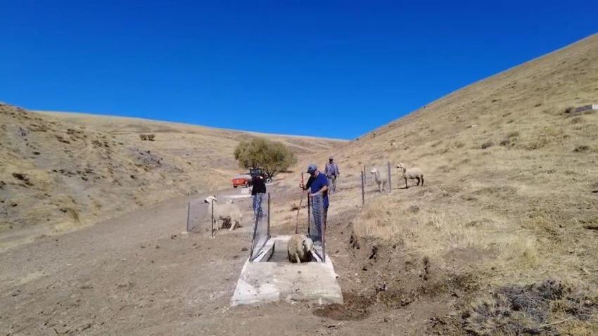 Niğde'de herkes kazanacak: 17 bin dönüm alanda yapıldı!
