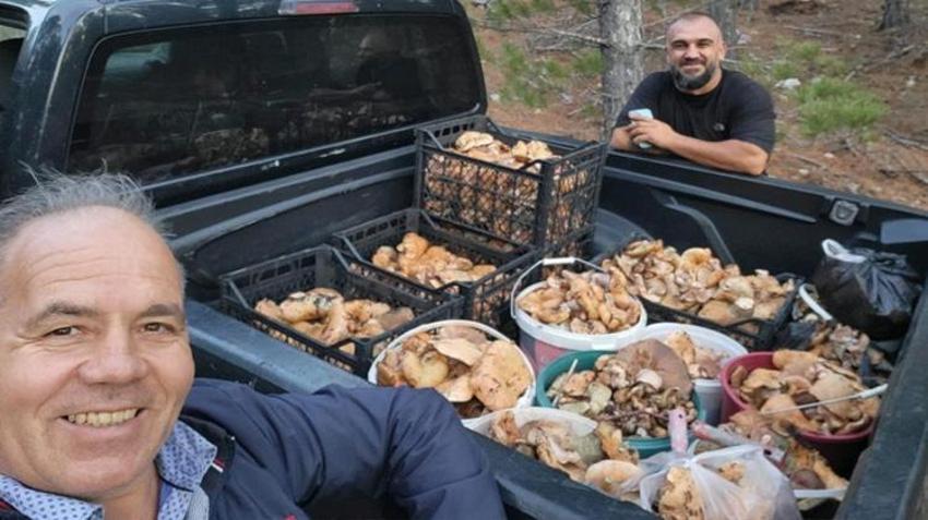 Denizli'de ormana giden eli boş dönmüyor! 2 saatte kamyonet dolusu ürün çıkardılar: Toplananlar bedava dağıtıldı
