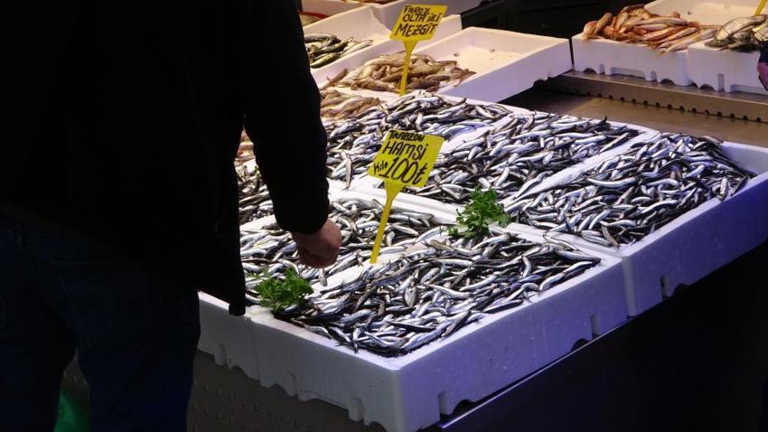 Karadeniz'de hamsi bereketi devam ediyor! Sezonun sonuna gelindi