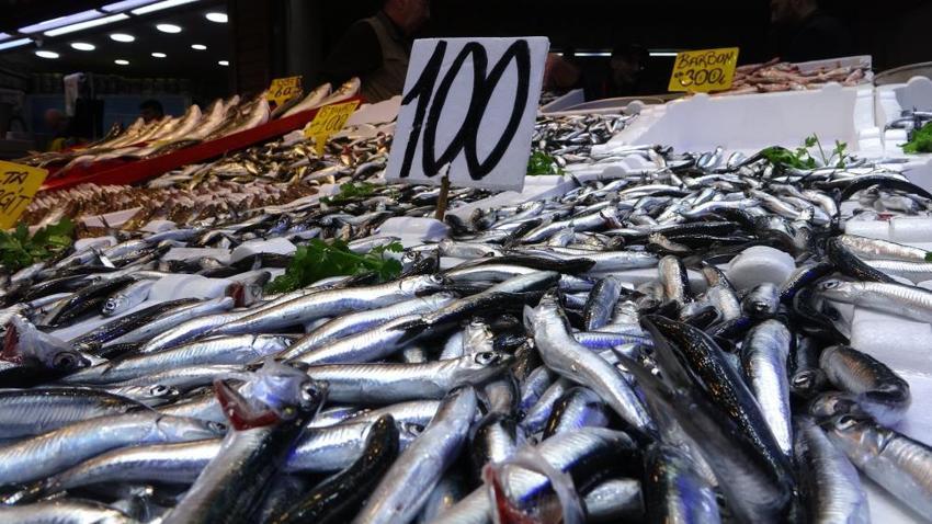 Karadeniz'de hamsi bereketi devam ediyor! Sezonun sonuna gelindi