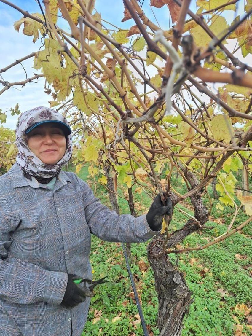 Manisa'da gelir kapısı değişti: Evden başladılar! Üretici ailesi için yöntem geliştirdi