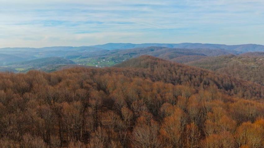 Kocaeli de nasibini aldı: Sanayide bitti, ormanda başladı! Bakan hayran kalıyor