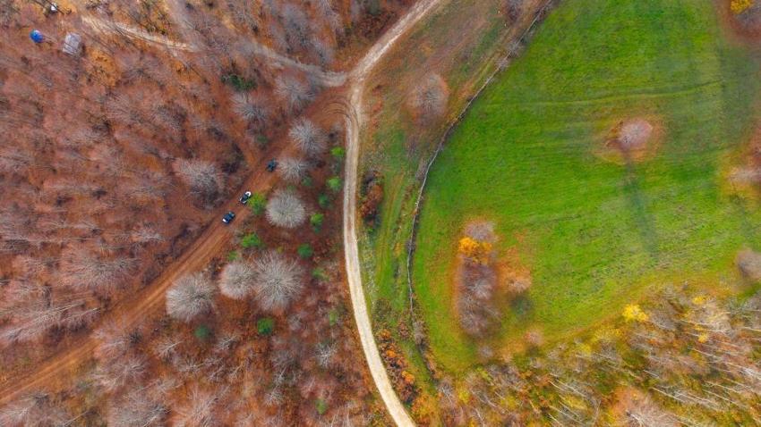 Kocaeli de nasibini aldı: Sanayide bitti, ormanda başladı! Bakan hayran kalıyor