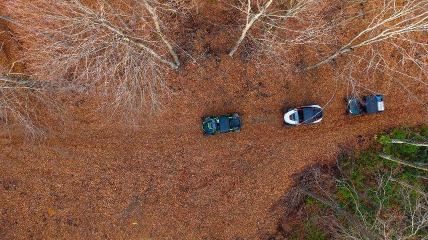 Kocaeli de nasibini aldı: Sanayide bitti, ormanda başladı! Bakan hayran kalıyor