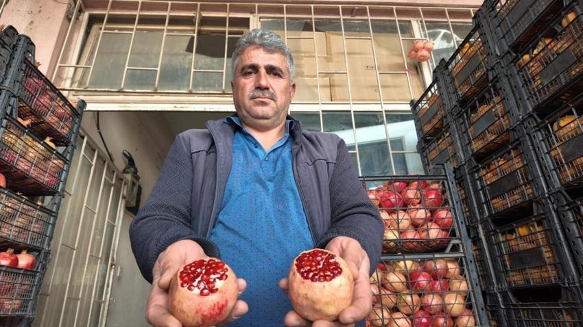 Siirt'te artık o da yok! Yüzlerce yıllık hasat yapılamadı