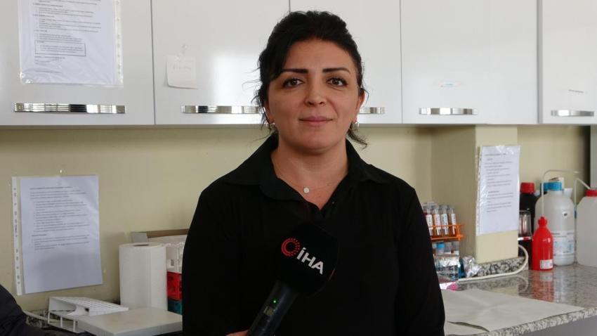 Malatya'da yetişiyor: Bilim insanları ispatladı, kapasitesi yüzde 90'a ulaştı! Ticari potansiyeli çok yüksek