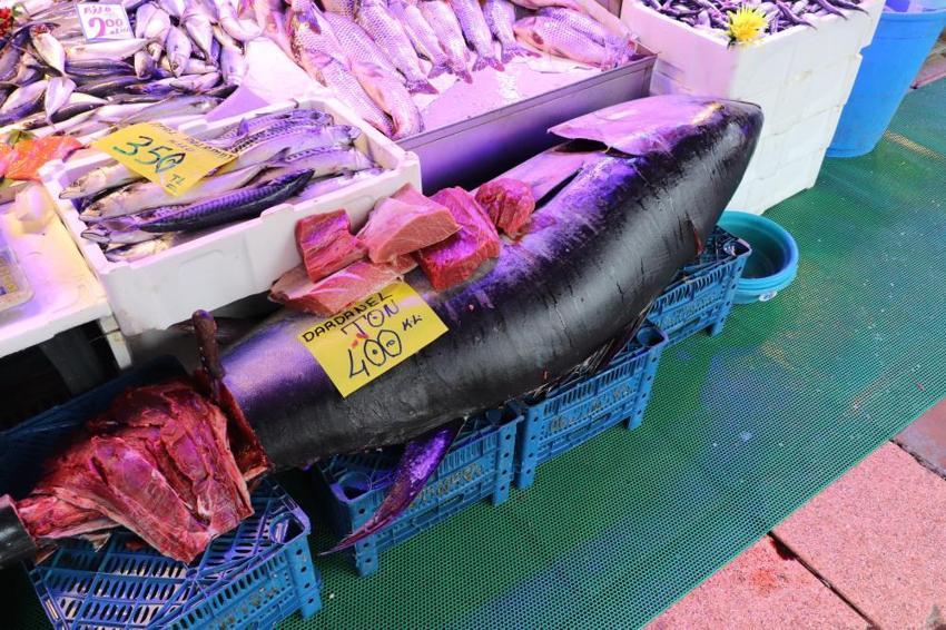 Eskişehir tezgahında 280 kiloluk dev şok! Türkiye'de nadir rastlanan dev orkinos özel izinle satışta: 'Vatandaşlar afallıyor!'