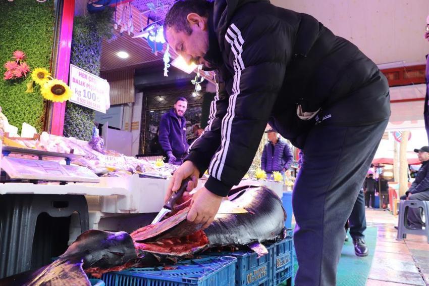 Eskişehir tezgahında 280 kiloluk dev şok! Türkiye'de nadir rastlanan dev orkinos özel izinle satışta: 'Vatandaşlar afallıyor!'