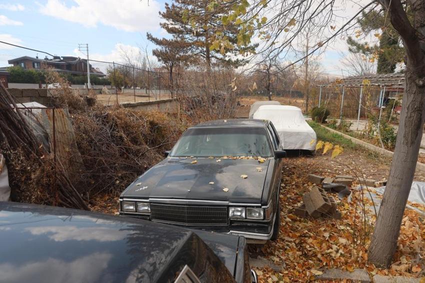 Serada araba yetiştiriyor! Konyalı usta 42 yıl sonra meslek değiştirdi: Tarzı Türkiye'de yok