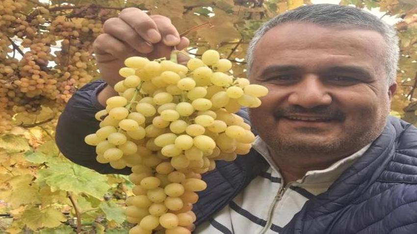 Sarıgöl Ovası'nın sırrı ortaya çıktı: Örtü altı sistemiyle Ocak ayına kadar taze kalıyor