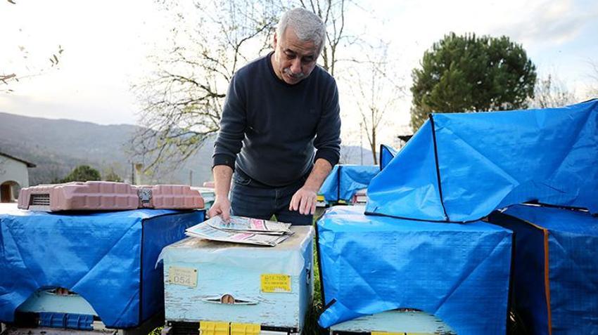 Kilosu 1.200 TL'ye dayandı! Dünyanın en önemli 100 noktasından birinden geliyor! Karabük Yenice Ihlamur Balı'ndan tarihi başarı: Markalaşma hamlesi başladı