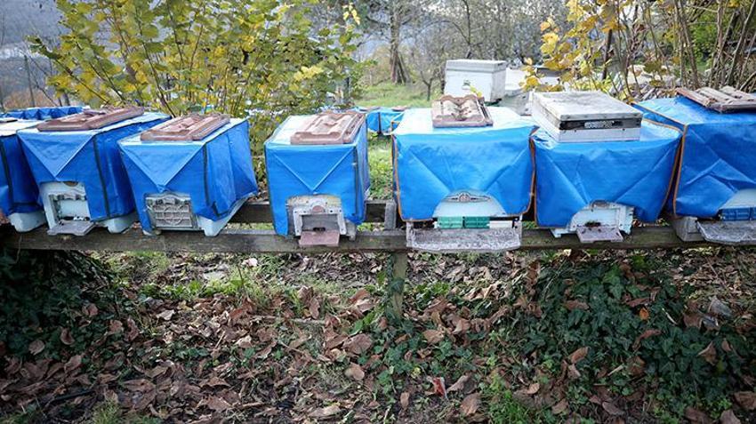 Kilosu 1.200 TL'ye dayandı! Dünyanın en önemli 100 noktasından birinden geliyor! Karabük Yenice Ihlamur Balı'ndan tarihi başarı: Markalaşma hamlesi başladı