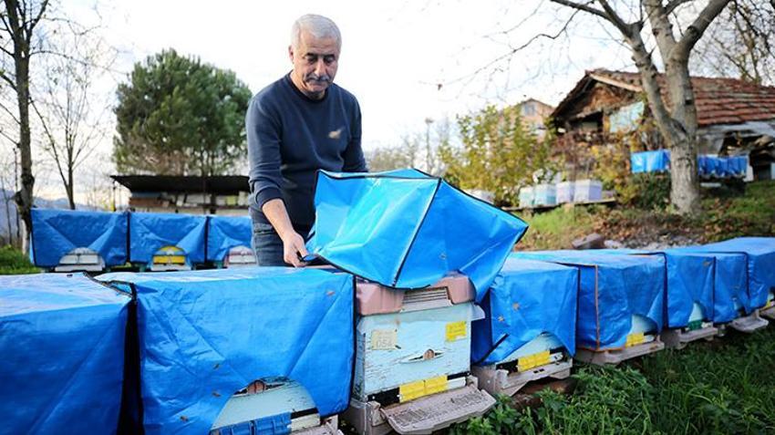 Kilosu 1.200 TL'ye dayandı! Dünyanın en önemli 100 noktasından birinden geliyor! Karabük Yenice Ihlamur Balı'ndan tarihi başarı: Markalaşma hamlesi başladı