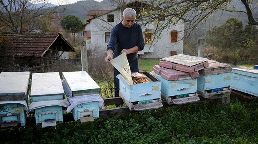 Kilosu 1.200 TL'ye dayandı! Dünyanın en önemli 100 noktasından birinden geliyor! Karabük Yenice Ihlamur Balı'ndan tarihi başarı: Markalaşma hamlesi başladı