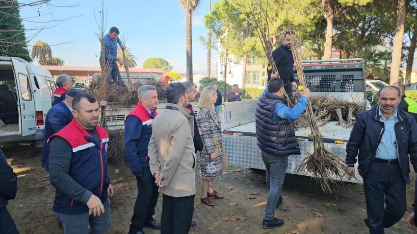 Aydın'da üretimi değiştirecek adım! Dayanıklı fidanlar üreticilere dağıtıldı