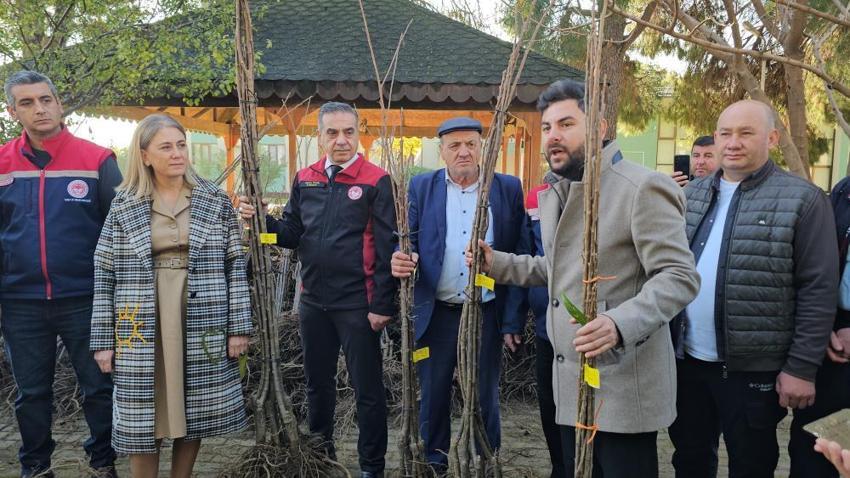 Aydın'da üretimi değiştirecek adım! Dayanıklı fidanlar üreticilere dağıtıldı