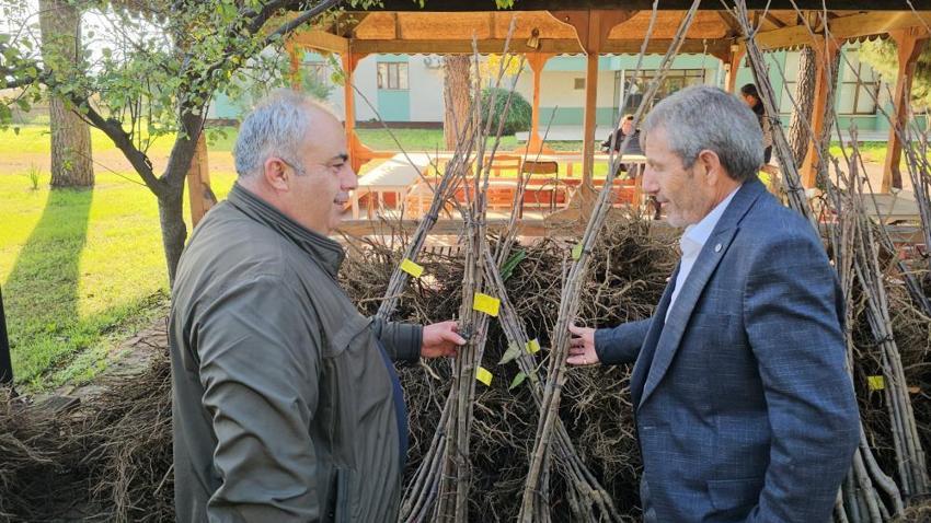 Aydın'da üretimi değiştirecek adım! Dayanıklı fidanlar üreticilere dağıtıldı