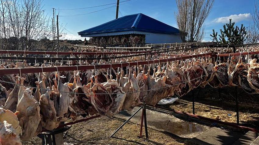 Gurbetteki Karslılar yaşadı! Hepsini onlar için kesip kurutmaya bıraktı