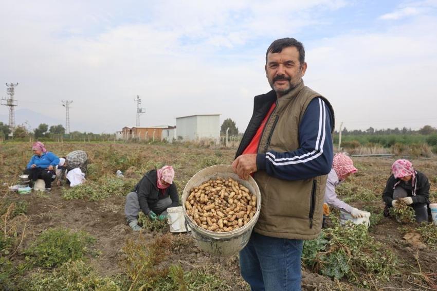 Tarlada 60, markette 120 lira: Hatay'da hasat ailece yapılıyor!