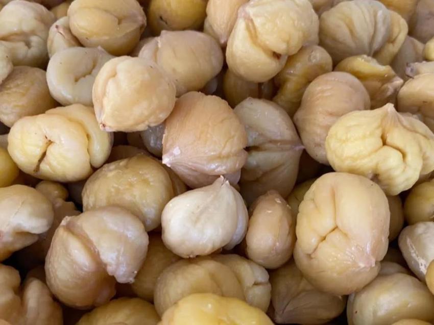 Aydın'ın coğrafi işaretli ürününde hasat tamamladı! Yurt dışına gönderiliyor: Çiftçinin kazancı artacak