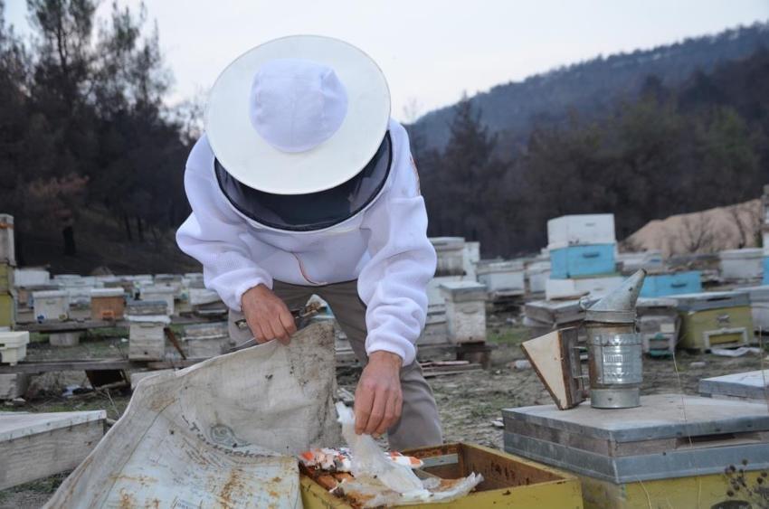 Irkını belirledi, 10 tane alıp üretime başladı! Türkiye'nin her yerine satıyor: 2 bine çıkardı