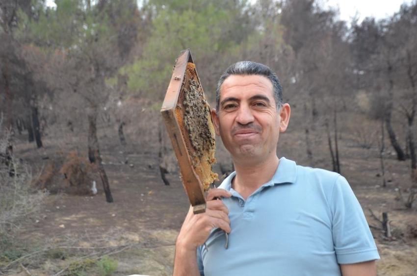 Irkını belirledi, 10 tane alıp üretime başladı! Türkiye'nin her yerine satıyor: 2 bine çıkardı