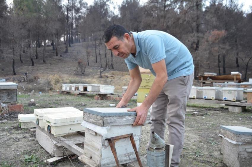 Irkını belirledi, 10 tane alıp üretime başladı! Türkiye'nin her yerine satıyor: 2 bine çıkardı