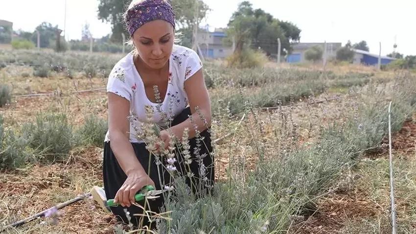 Adana'da turizm işine girmeden önce denedi: 4 ton üretimi yakaladı! Girişimci kadının 1 yıl da hayatını değiştirdi