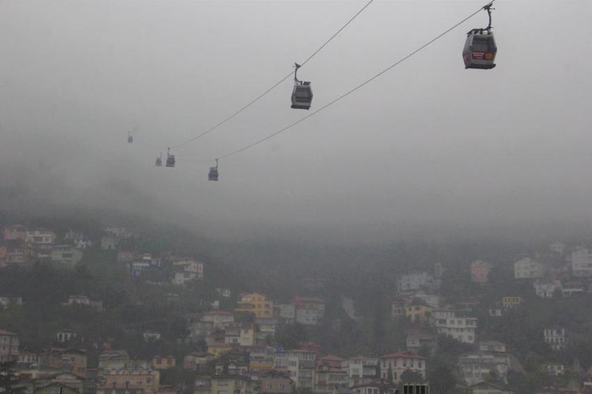 Ordu'da doğadan nasibini aldı: 530 metre yükseklikte görüldü