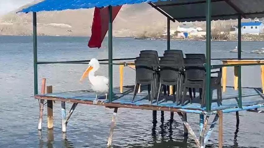 Her sene kasım ayında donmaya başlardı! Çıldır Gölü tarihinde ilk kez bu kadar gecikti: Turizm krizi yaşanabilir