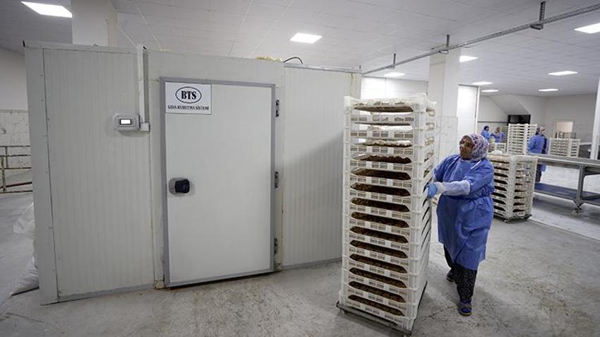 Osmanlı'dan kalma lezzet sırrı: Malatya'da 3 kuşaktır aynı aile üretiyor! Doktorlar bile tavsiye ediyor