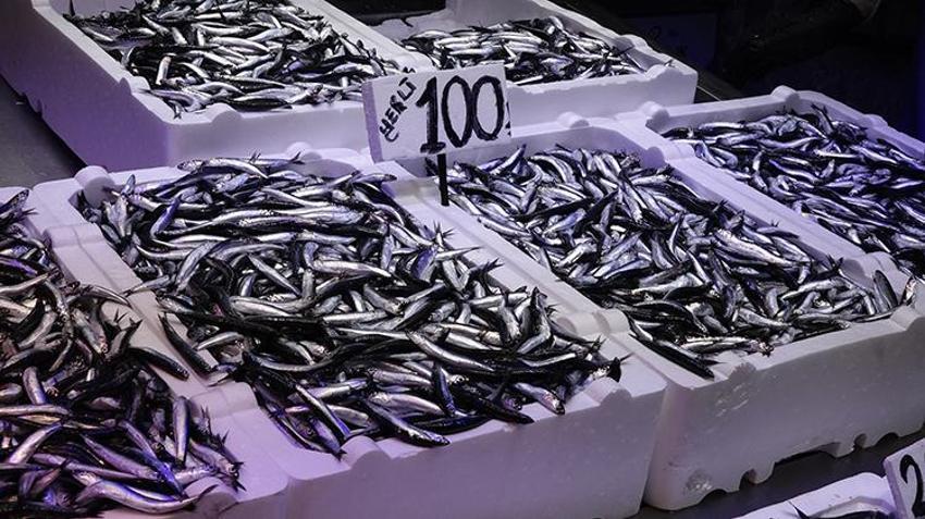 Balık tezgahları şenlendi! Kilosu 50 TL'ye kadar düşüyor