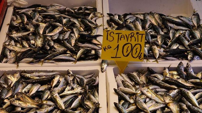 Balık tezgahları şenlendi! Kilosu 50 TL'ye kadar düşüyor