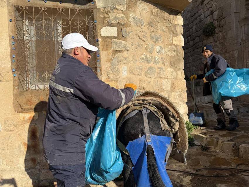 Mardin'in kadrolu eşeklerini emekli edecek hamle! Artuklu Belediyesi'nden örnek proje