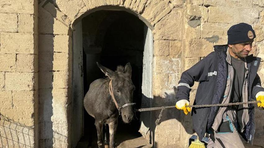 Mardin'in kadrolu eşeklerini emekli edecek hamle! Artuklu Belediyesi'nden örnek proje