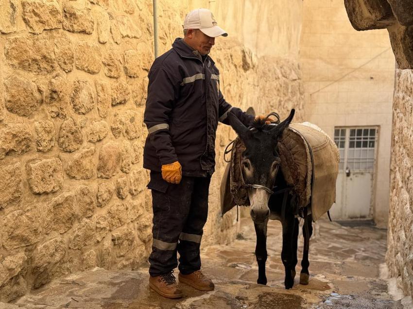 Mardin'in kadrolu eşeklerini emekli edecek hamle! Artuklu Belediyesi'nden örnek proje