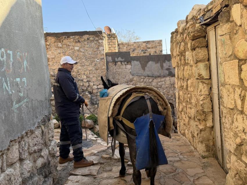 Mardin'in kadrolu eşeklerini emekli edecek hamle! Artuklu Belediyesi'nden örnek proje