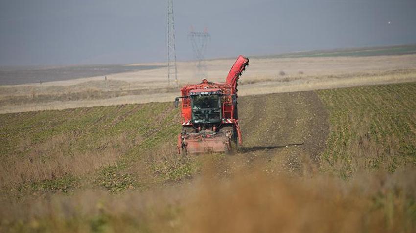 Ermenistan sınırında ekonomiye 13 bin tonluk katkı: 94 bin ton pancar kristal şekere dönüştü