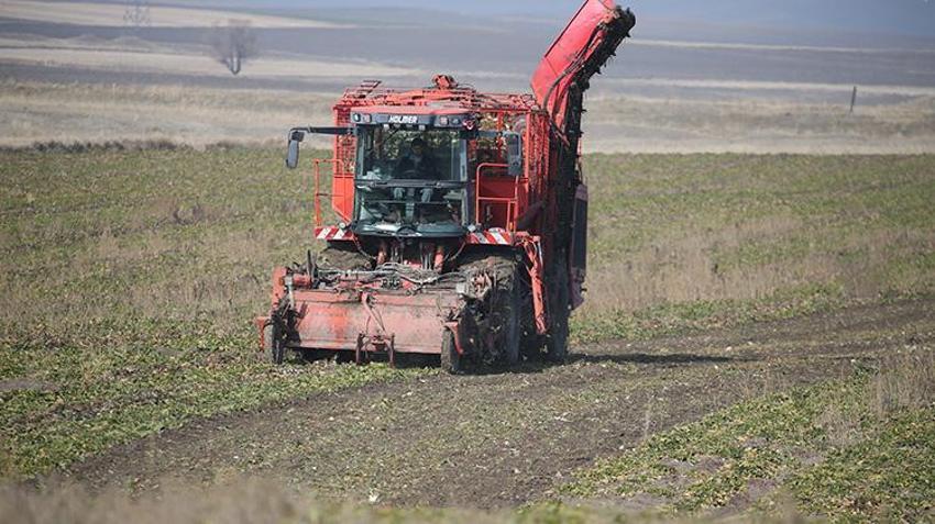 Ermenistan sınırında ekonomiye 13 bin tonluk katkı: 94 bin ton pancar kristal şekere dönüştü