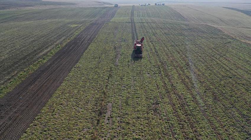 Ermenistan sınırında ekonomiye 13 bin tonluk katkı: 94 bin ton pancar kristal şekere dönüştü