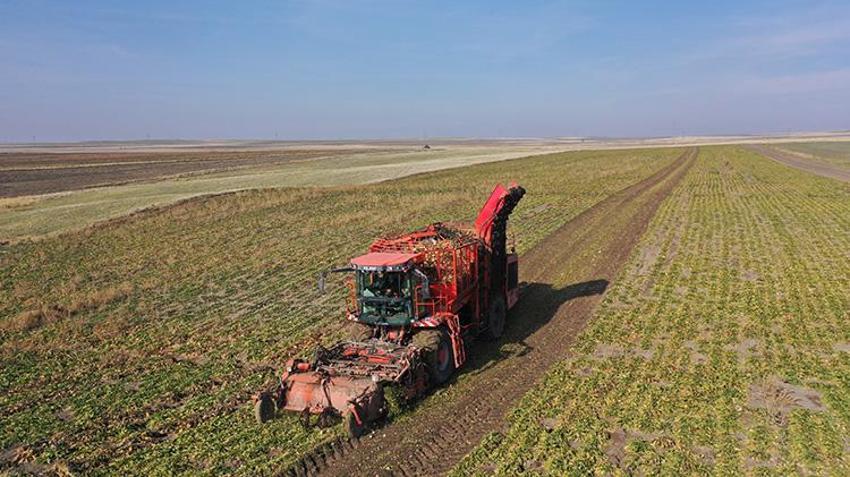 Ermenistan sınırında ekonomiye 13 bin tonluk katkı: 94 bin ton pancar kristal şekere dönüştü