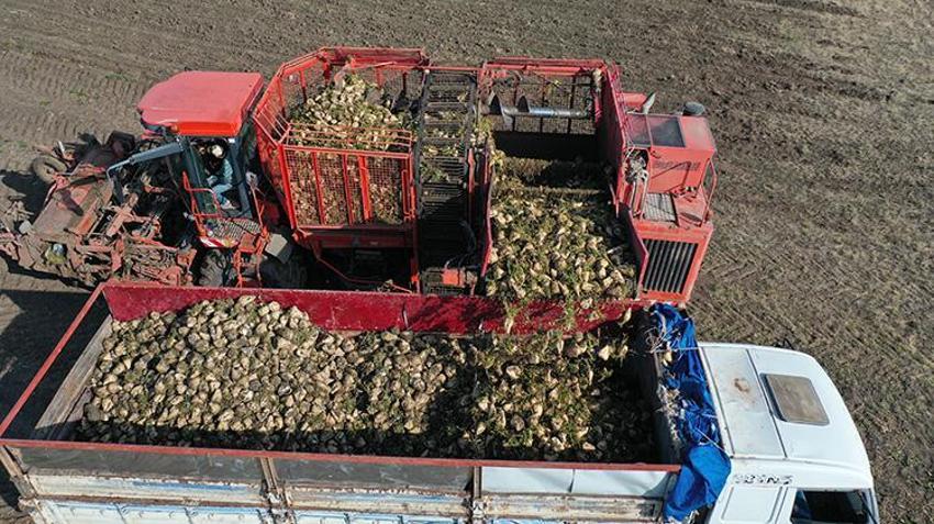 Ermenistan sınırında ekonomiye 13 bin tonluk katkı: 94 bin ton pancar kristal şekere dönüştü
