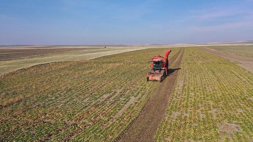 Ermenistan sınırında ekonomiye 13 bin tonluk katkı: 94 bin ton pancar kristal şekere dönüştü