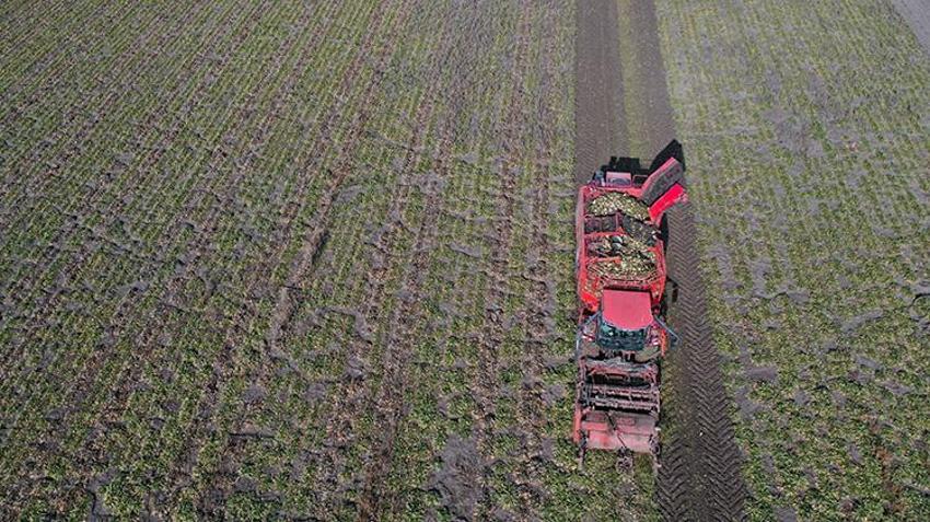 Ermenistan sınırında ekonomiye 13 bin tonluk katkı: 94 bin ton pancar kristal şekere dönüştü