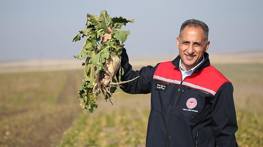 Ermenistan sınırında ekonomiye 13 bin tonluk katkı: 94 bin ton pancar kristal şekere dönüştü