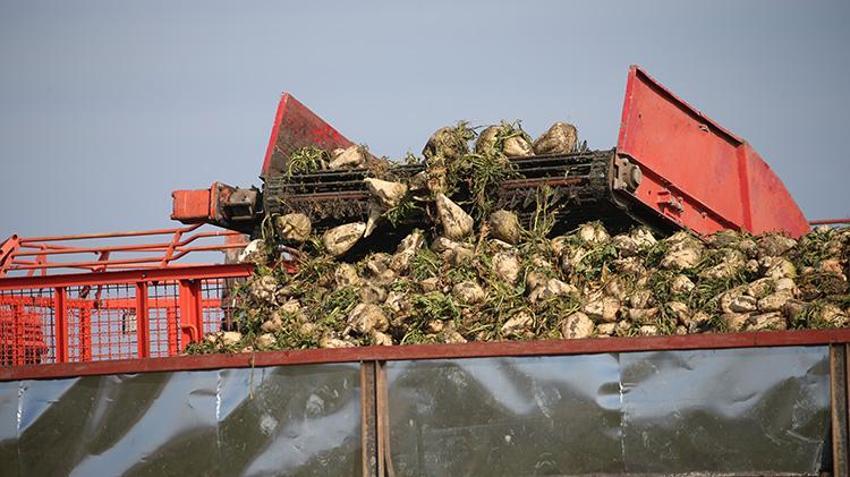 Ermenistan sınırında ekonomiye 13 bin tonluk katkı: 94 bin ton pancar kristal şekere dönüştü