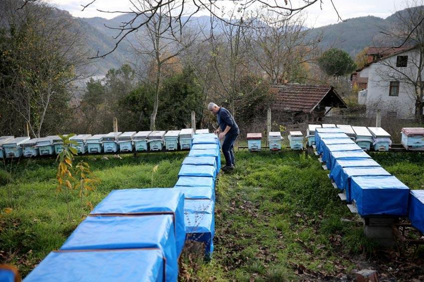 Yenice ıhlamur balı AB coğrafi işaret tescil belgesi aldı. Karabük'ün 2'nci, Türkiye'nin ise 43'üncü ürünü oldu