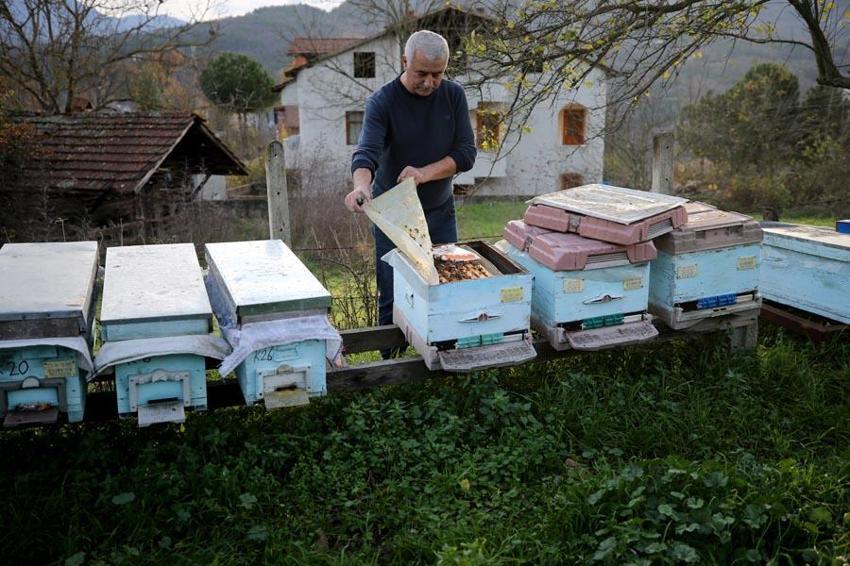 Yenice ıhlamur balı AB coğrafi işaret tescil belgesi aldı. Karabük'ün 2'nci, Türkiye'nin ise 43'üncü ürünü oldu